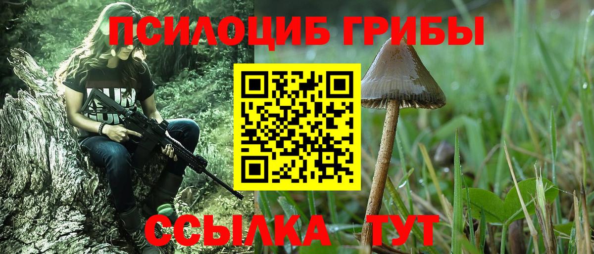 Шатура  Галлюциногенные грибы Psilocybine cubensis  Псилоцибиновые грибы Psilocybine cubensis  Вход с VPN 
