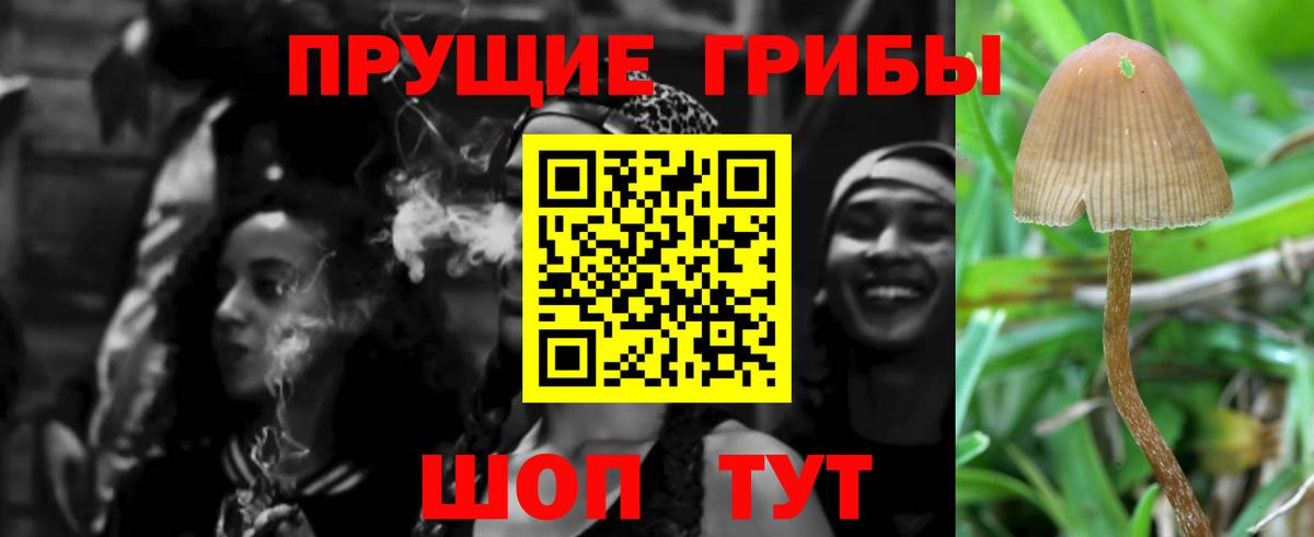 Галлюциногенные грибы мухоморы Шатура
